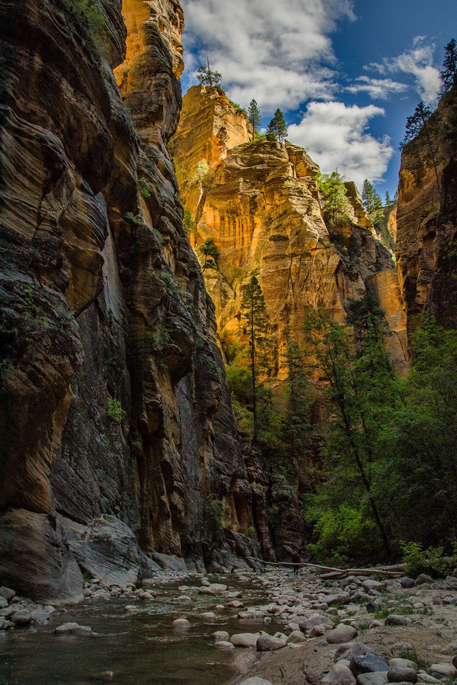 Wasim Muklashy Photography_Zion National Park_Utah_The Narrows_08.jpg