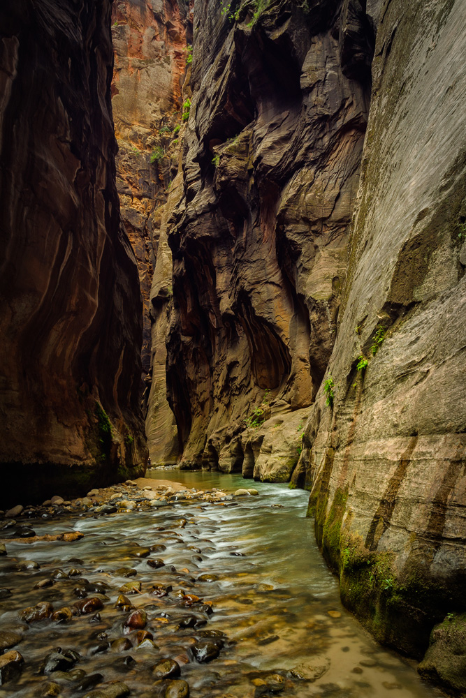 Wasim Muklashy Photography_Zion National Park_Utah_The Narrows_14.jpg