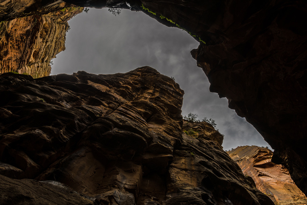 Wasim Muklashy Photography_Zion National Park_Utah_The Narrows_15.jpg