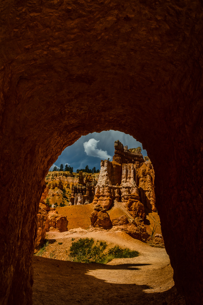 Wasim Muklashy Photography_Bryce Canyon National Park_Utah_10.jpg