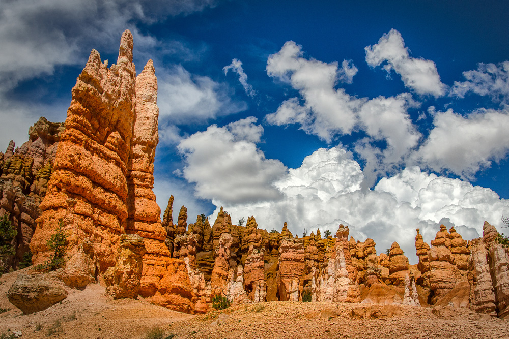 Wasim Muklashy Photography_Bryce Canyon National Park_Utah_11.jpg