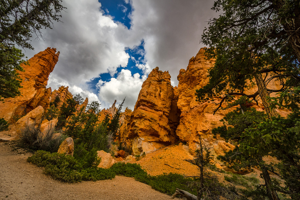 Wasim Muklashy Photography_Bryce Canyon National Park_Utah_12.jpg