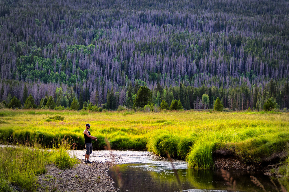 Wasim Muklashy Photography_Rocky Mountain National Park_Colorado_08.jpg