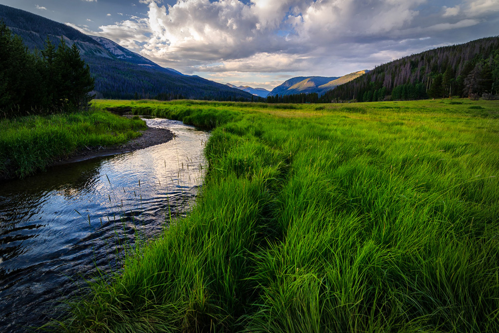 Wasim Muklashy Photography_Rocky Mountain National Park_Colorado_11.jpg