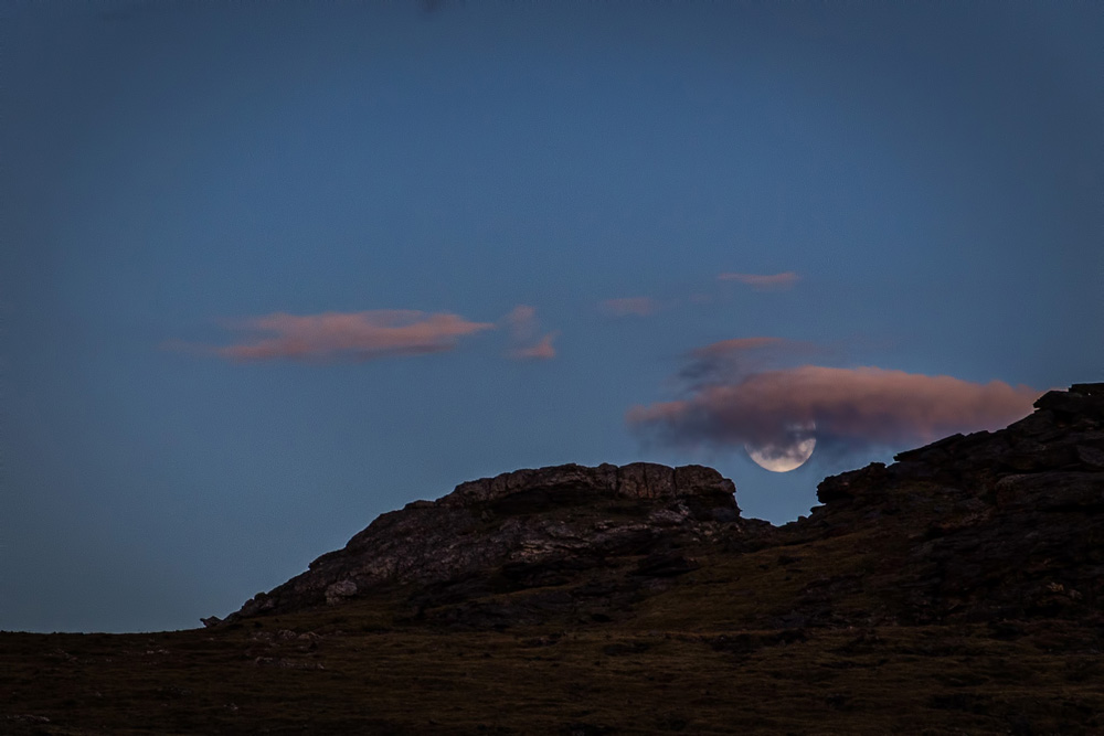 Wasim Muklashy Photography_Rocky Mountain National Park_Colorado_15.jpg