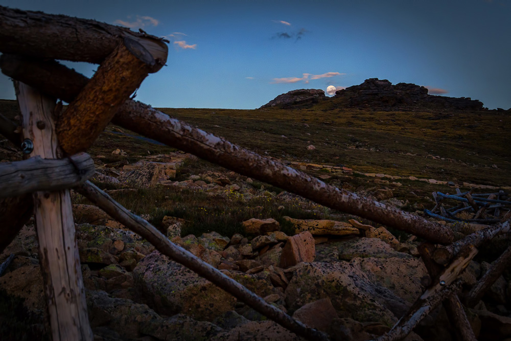 Wasim Muklashy Photography_Rocky Mountain National Park_Colorado_17.jpg