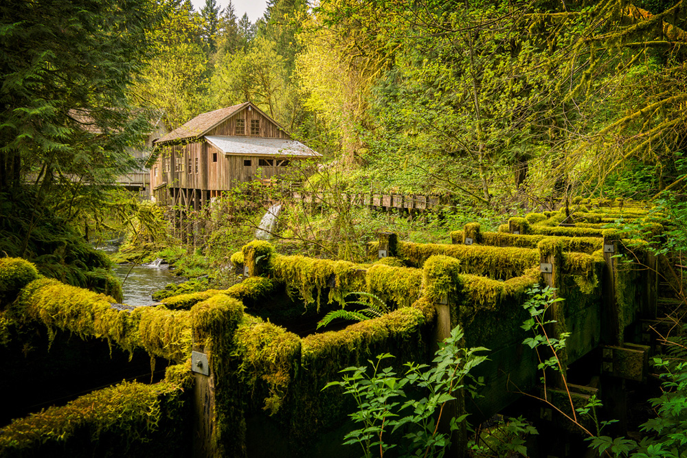 Going Green. And Greener. And Greenest. – A Mirrorless Camera Pacific Northwest Photo Trip – Part 2