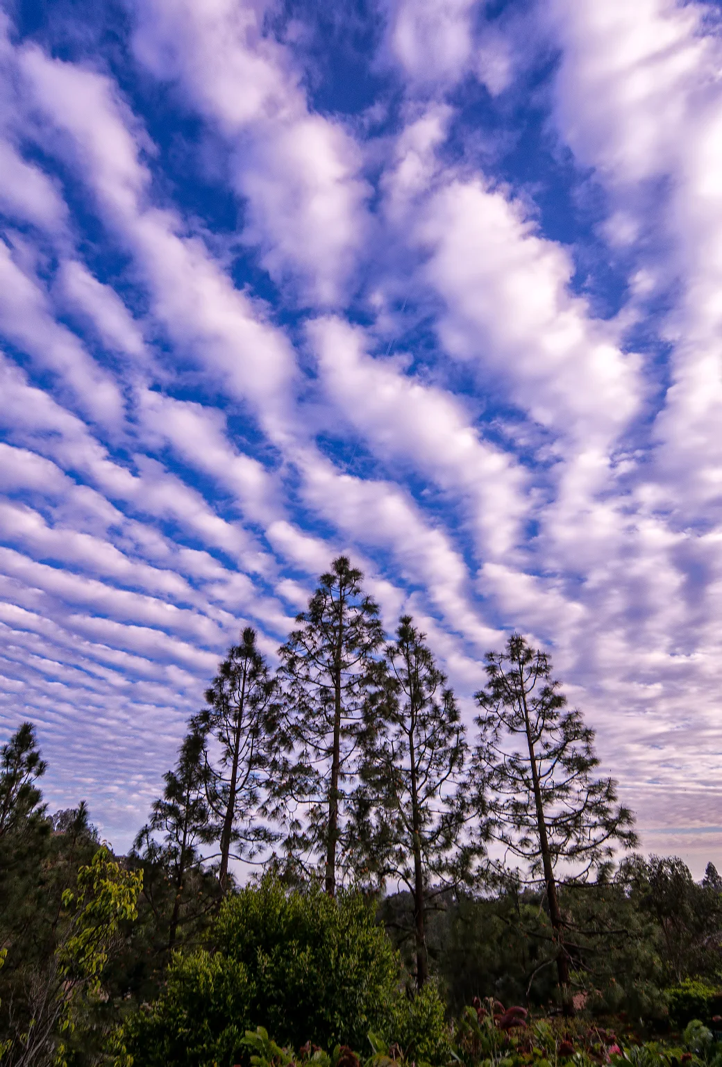 Photofocus Does It Again - Notch Up Another Point For The Samsung NX300