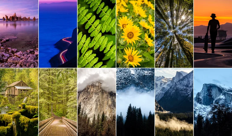 A Collection Of iPhone 6 And iPhone 6 Plus Background Wallpapers