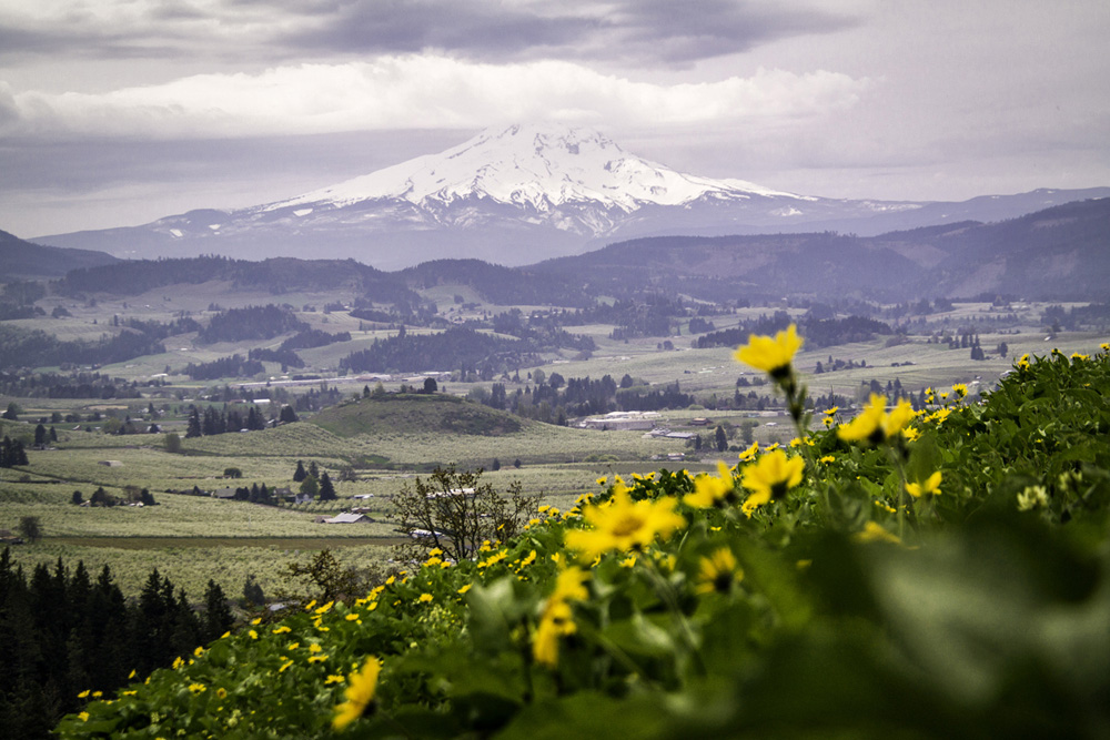 wasim_muklashy_042714_pacific_northwest_samsung nx30_mirrorless_04.jpg