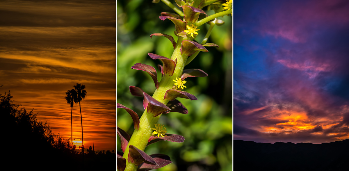 A Fresh Selection Of iPhone 5 Parallax Wallpapers If You Wanna