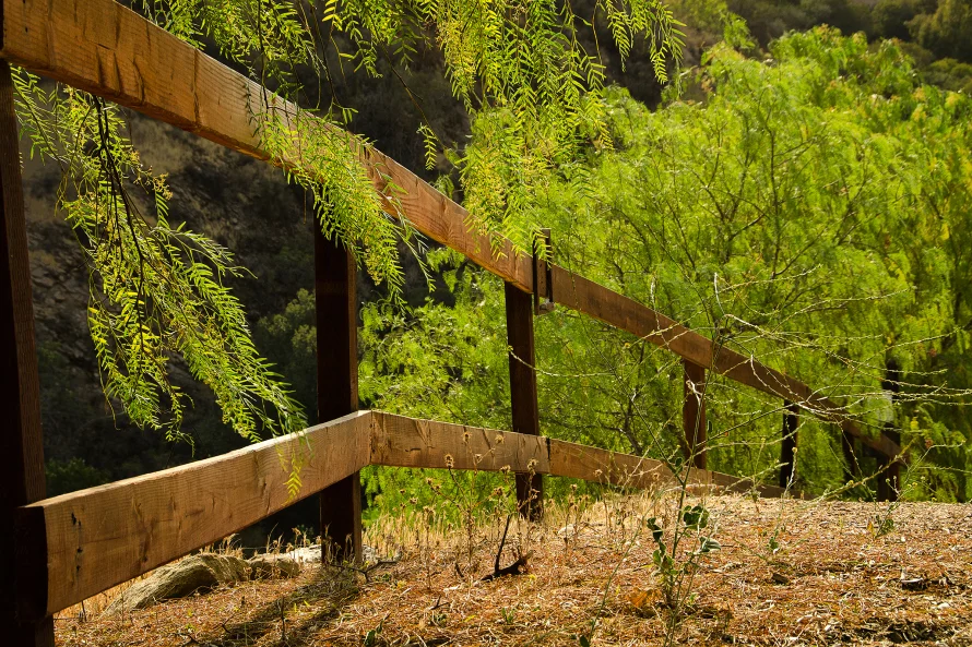 Just Flow - Pursuing A Life Of Being