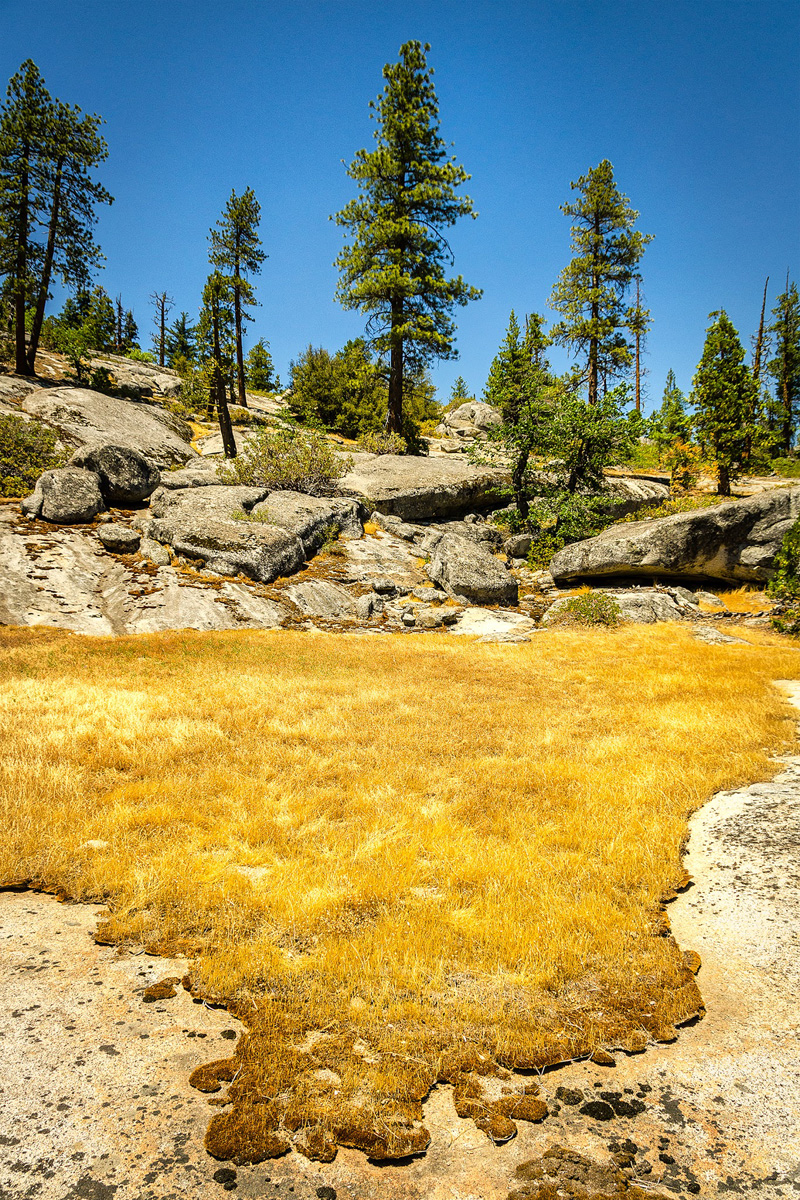 Wasim-Muklashy-Photography_Far-Meadow_Yosemite_California_35.jpg