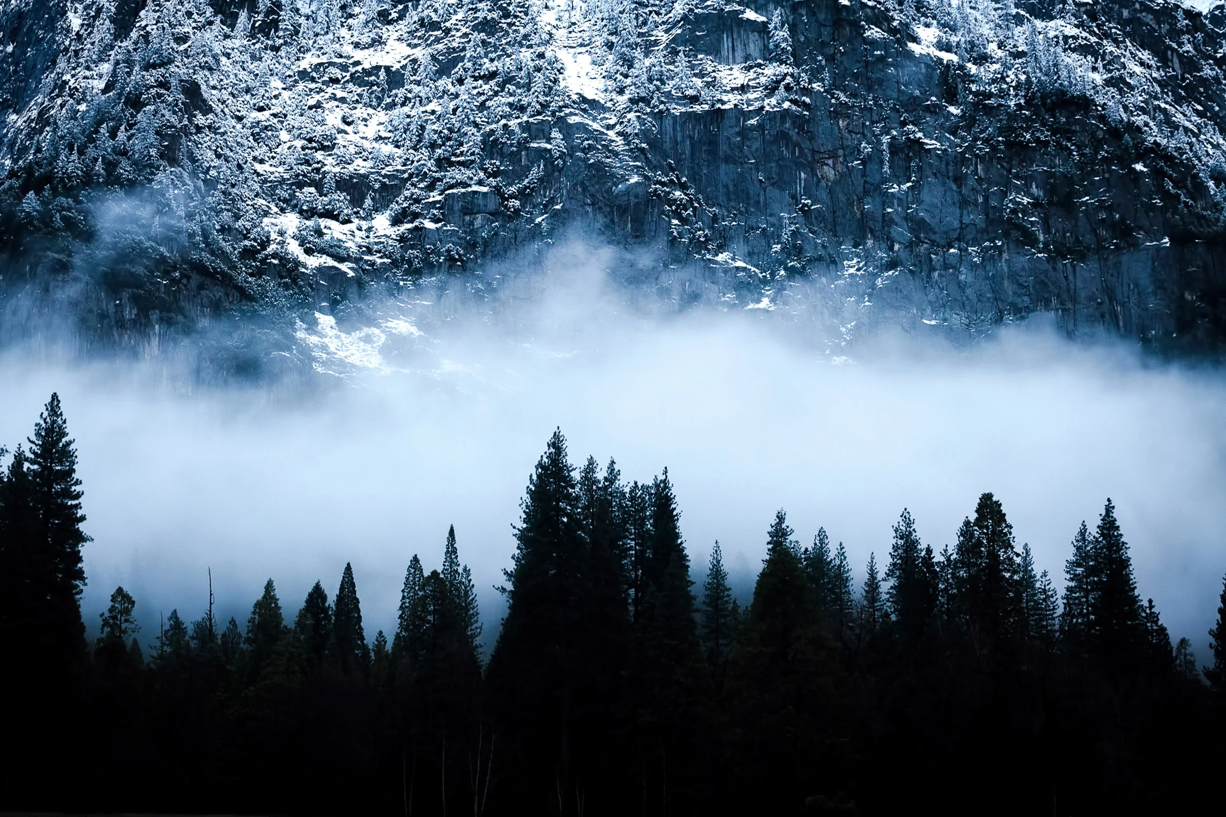 a slice of yosemite layer cake.