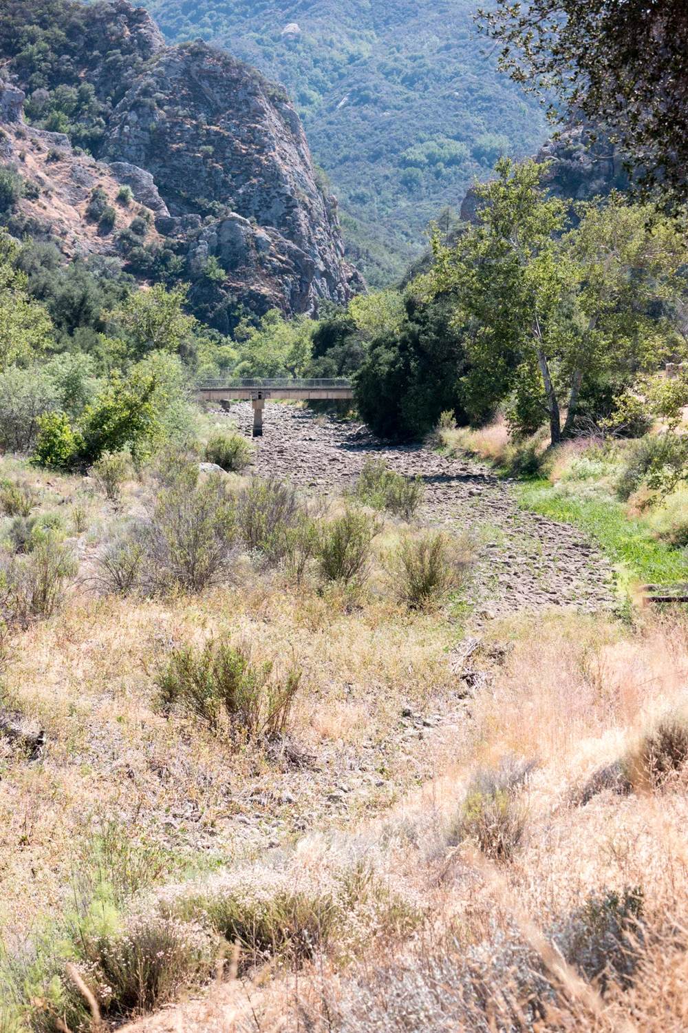 Wasim Muklashy Photography_060615_Malibu Creek State Park_California_Samsung NX1_50-150S_ SAM_4889_1800px.jpg