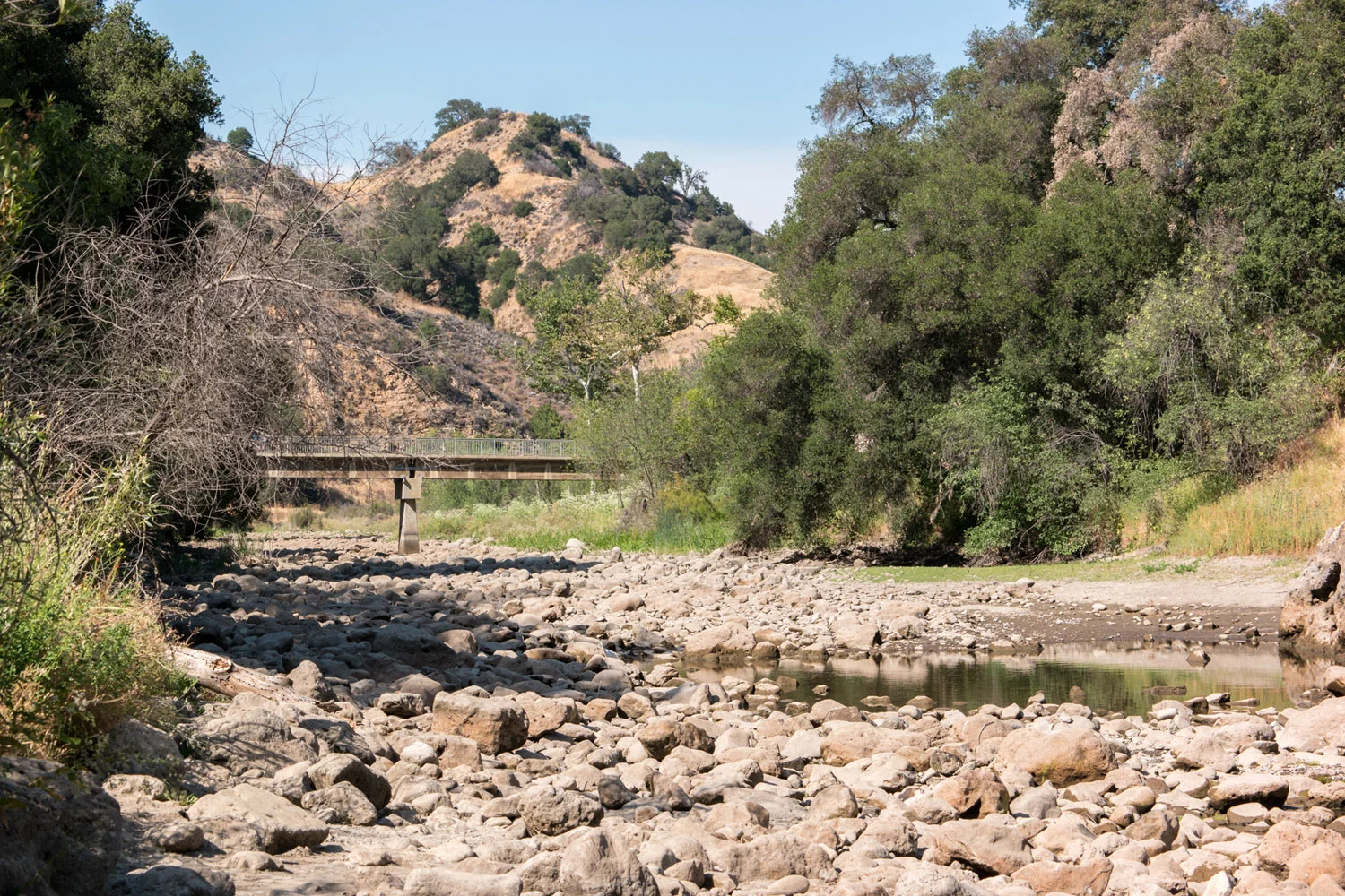 Wasim Muklashy Photography_060615_Malibu Creek State Park_California_Samsung NX1_50-150S_ SAM_5004_1800px.jpg