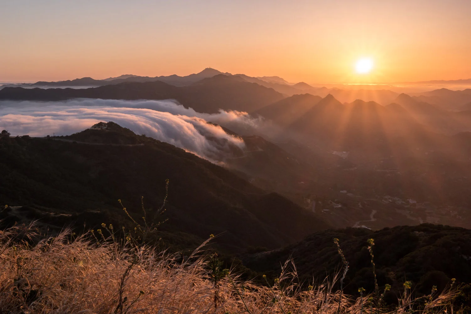 The Not So Subtle Surprises Of Los Angeles' Best Kept Secret - The Santa Monica Mountains