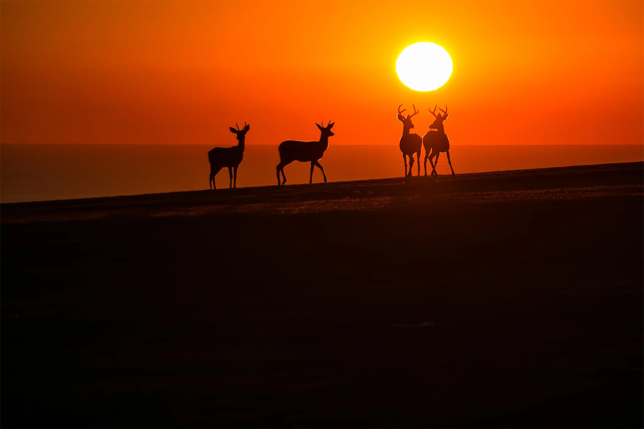 Bad Days Are The New Good Days! Thanks For The Reminder Photofocus!