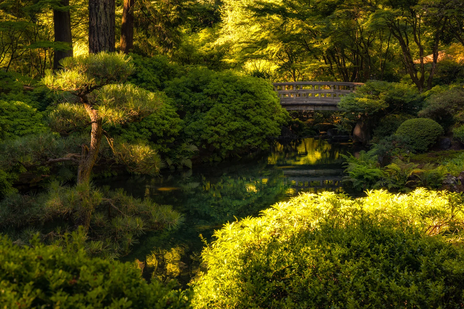 A Series of Portland Japanese Garden Zen Moments - August 1, 2015