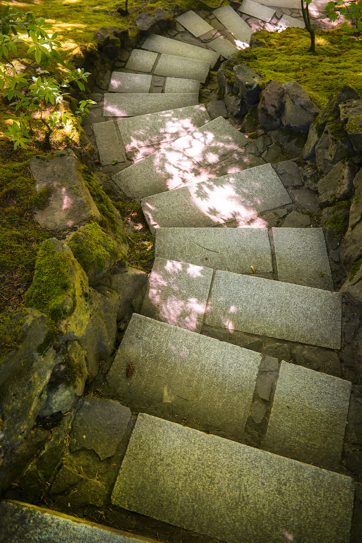 Wasim-Muklashy-Photography_Samsung-NX1_Japanese-Garden_Portland_Oregon_-SAM_6467-Edit-2.jpg