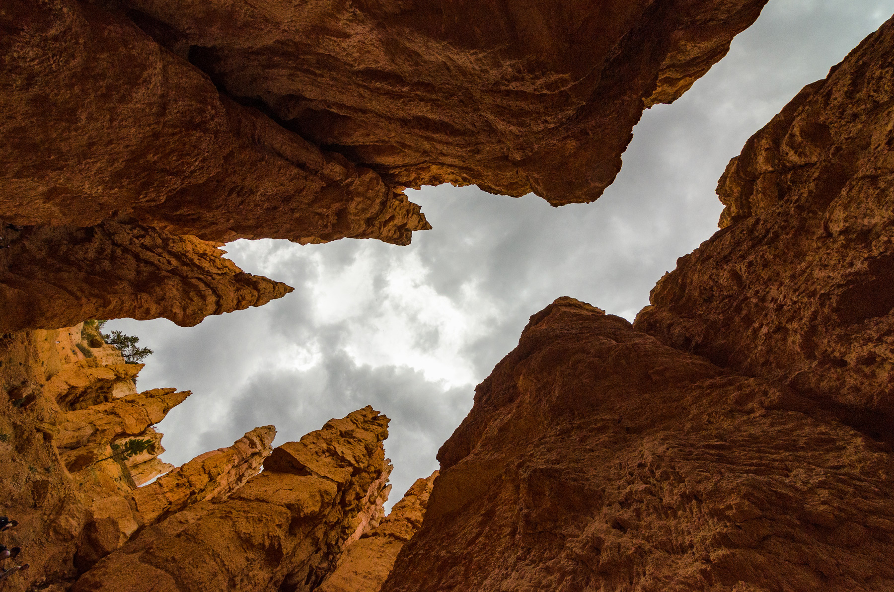 Wasim-Muklashy-Photography_Nikon-D7000_Bryce-Canyon-National-Park_Utah_ForSite2.jpg