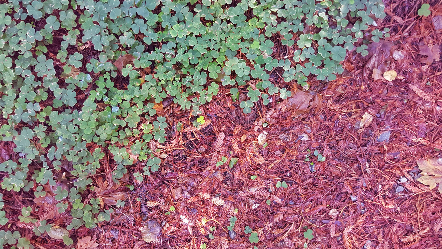 20151111_094831-01.jpg