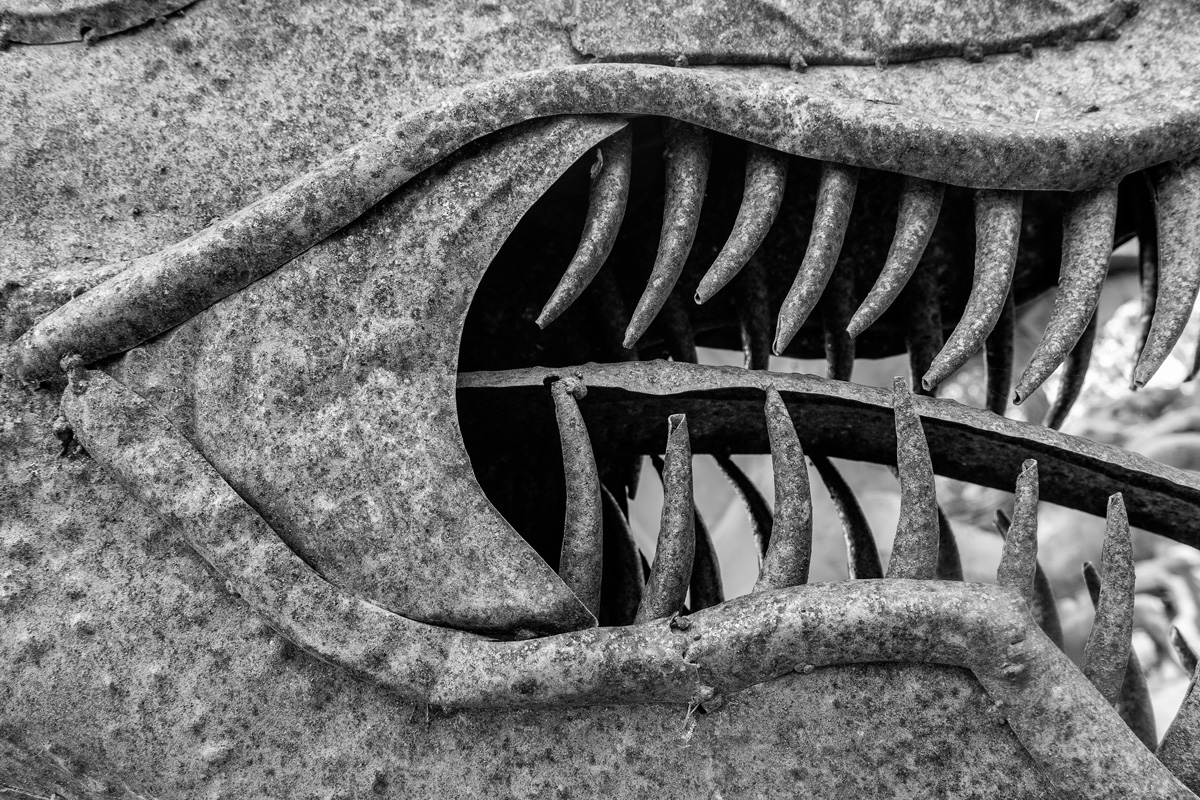 Wasim Muklashy Photography_Samsung NX500_Aguanga_California_-SAM_4401-Edit.jpg