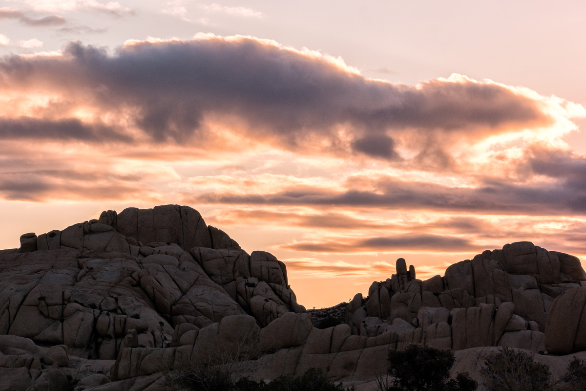 Wasim Muklashy Photography_Samsung NX1_Joshua Tree National Park_California_-SAM_2161-Edit.jpg