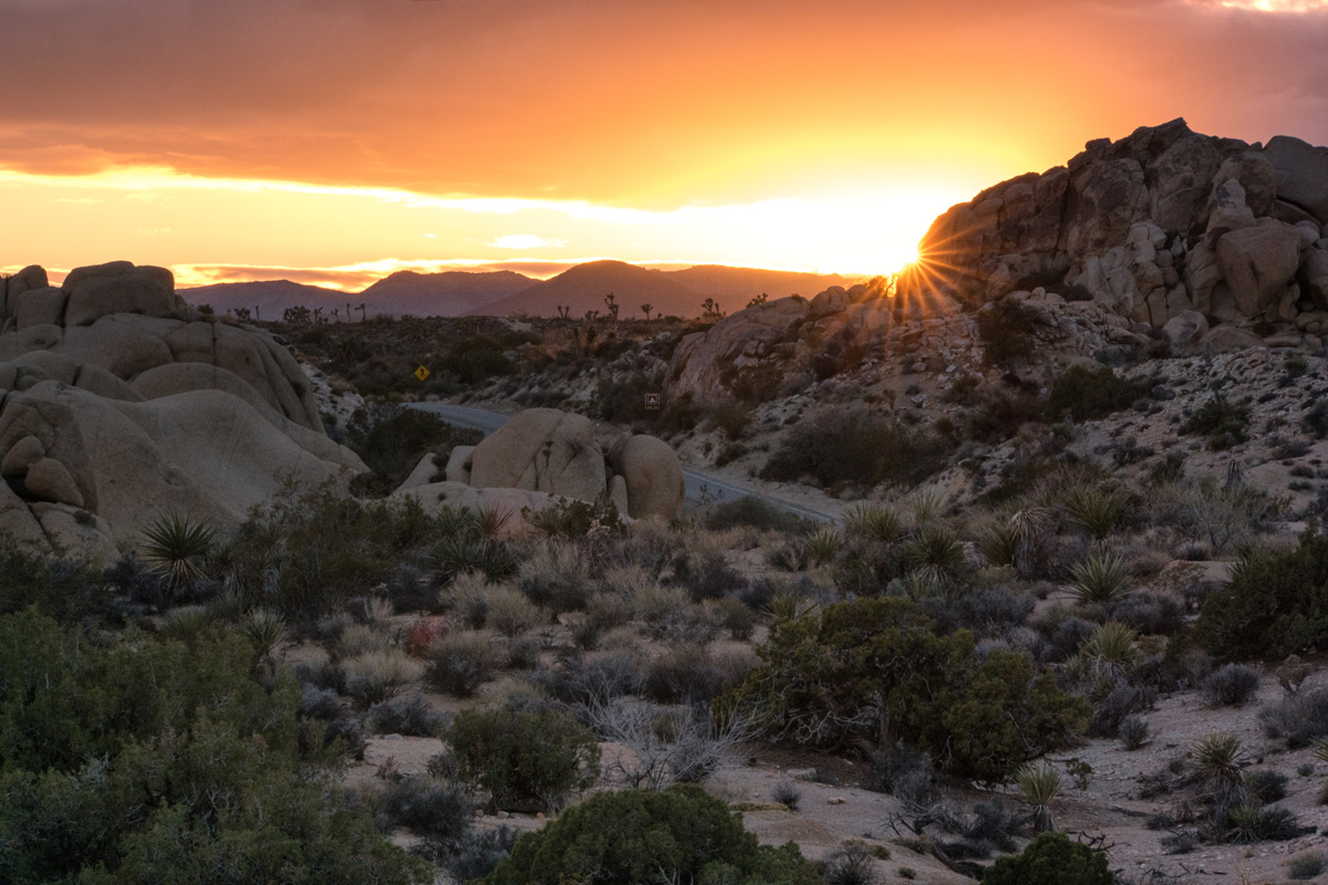 Wasim Muklashy Photography_Samsung NX1_Joshua Tree National Park_California_-SAM_2186-Edit.jpg