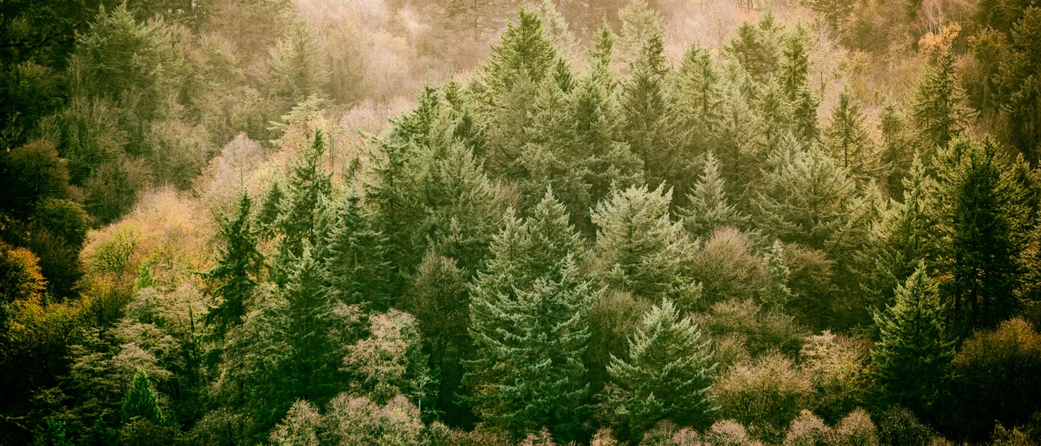 My Day At The World Forestry Center With Nobel Prize Climate Scientist Dr. Steven Running