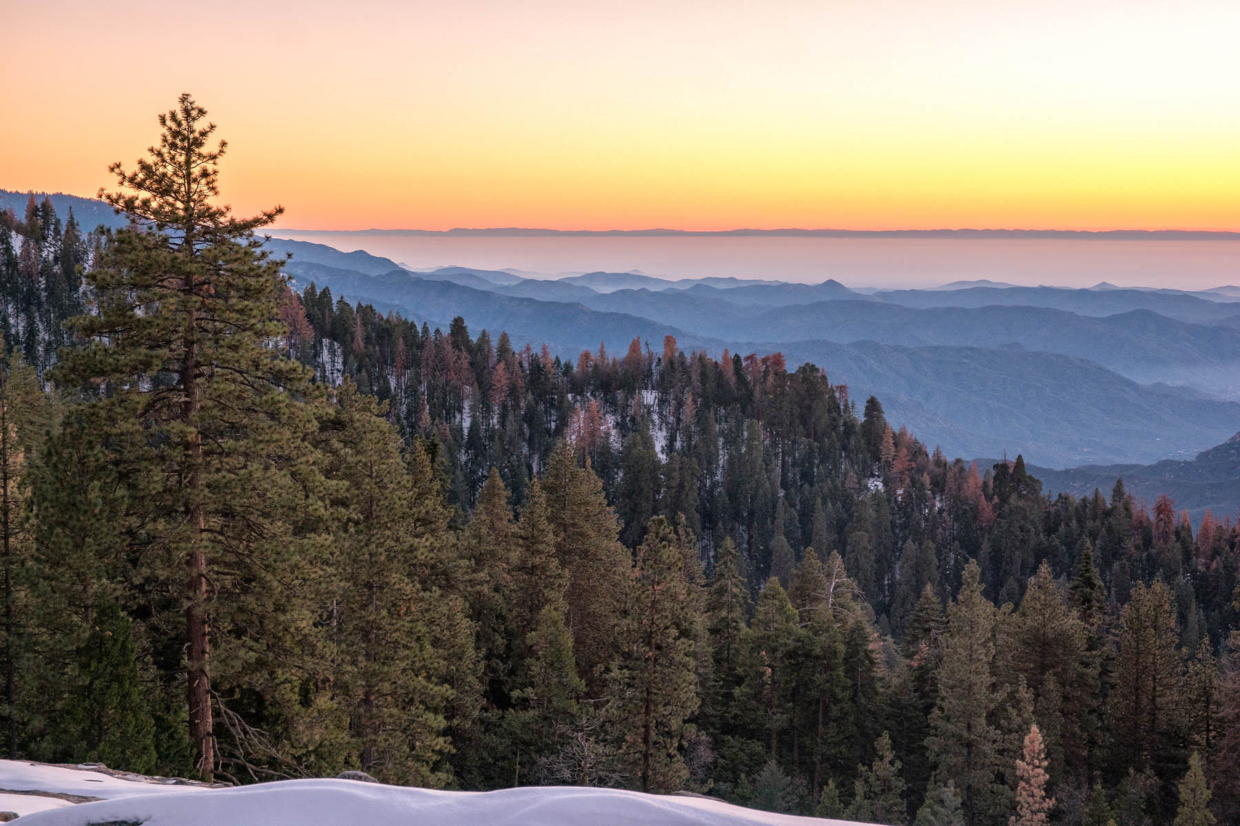 Wasim Muklashy Photography_Sequoia National Park_California_December 2015_-SAM_4205-Edit.jpg