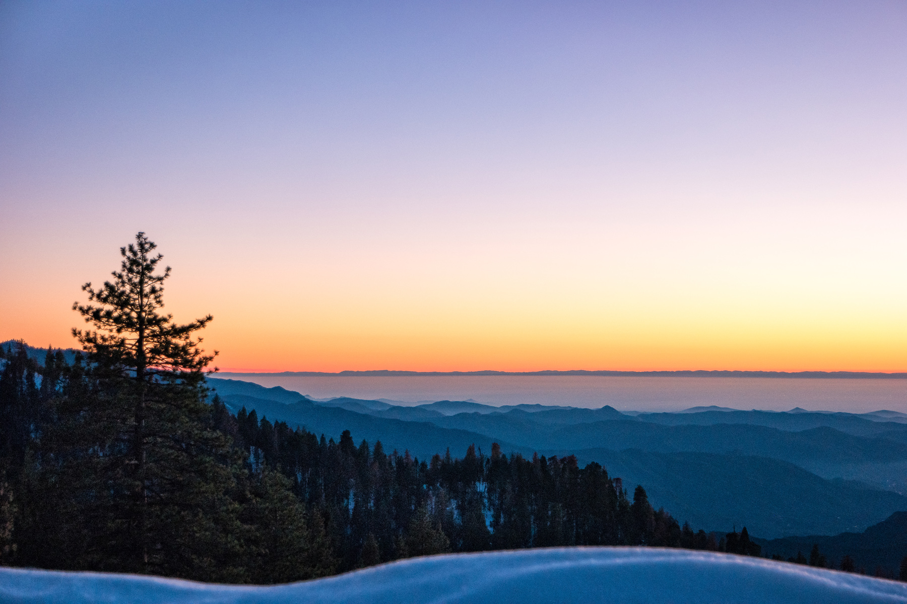 Wasim Muklashy Photography_Sequoia National Park_California_December 2015_-SAM_4674-Edit.jpg