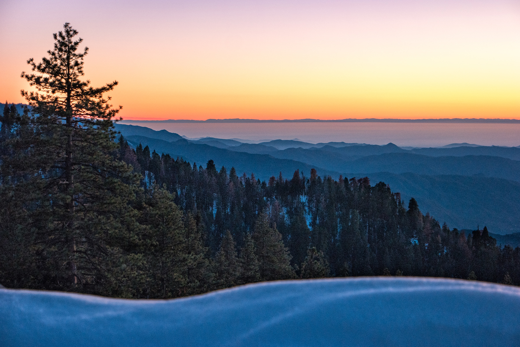Wasim Muklashy Photography_Sequoia National Park_California_December 2015_-SAM_4675-Edit.jpg