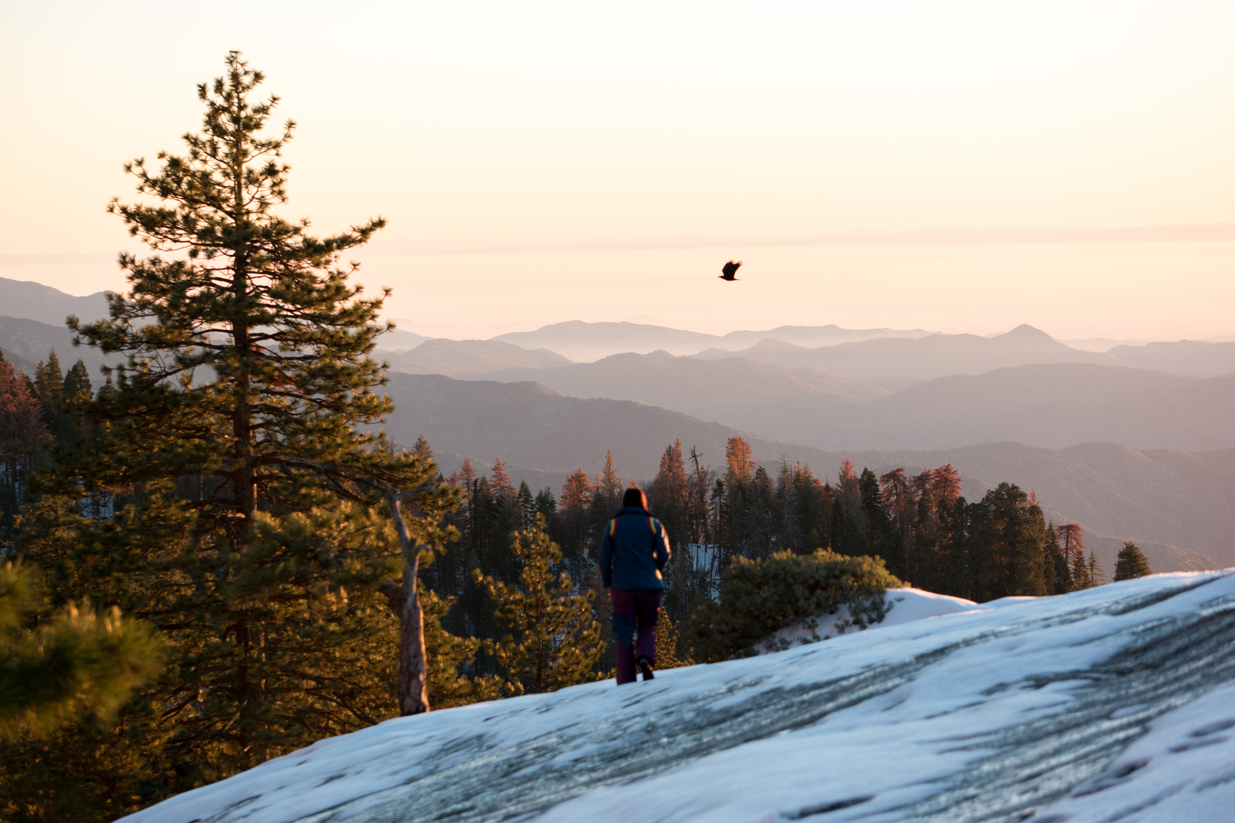 Wasim Muklashy Photography_Sequoia National Park_California_December 2015_-SAM_4163.jpg
