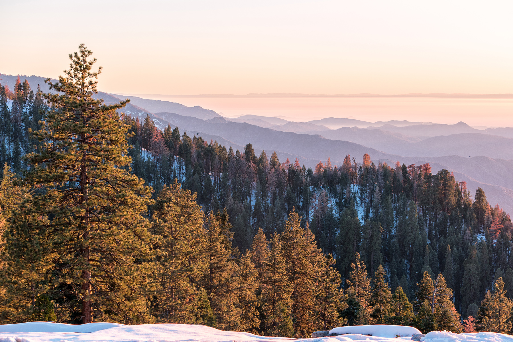 Wasim Muklashy Photography_Sequoia National Park_California_December 2015_-SAM_4164-Edit_crop1.jpg
