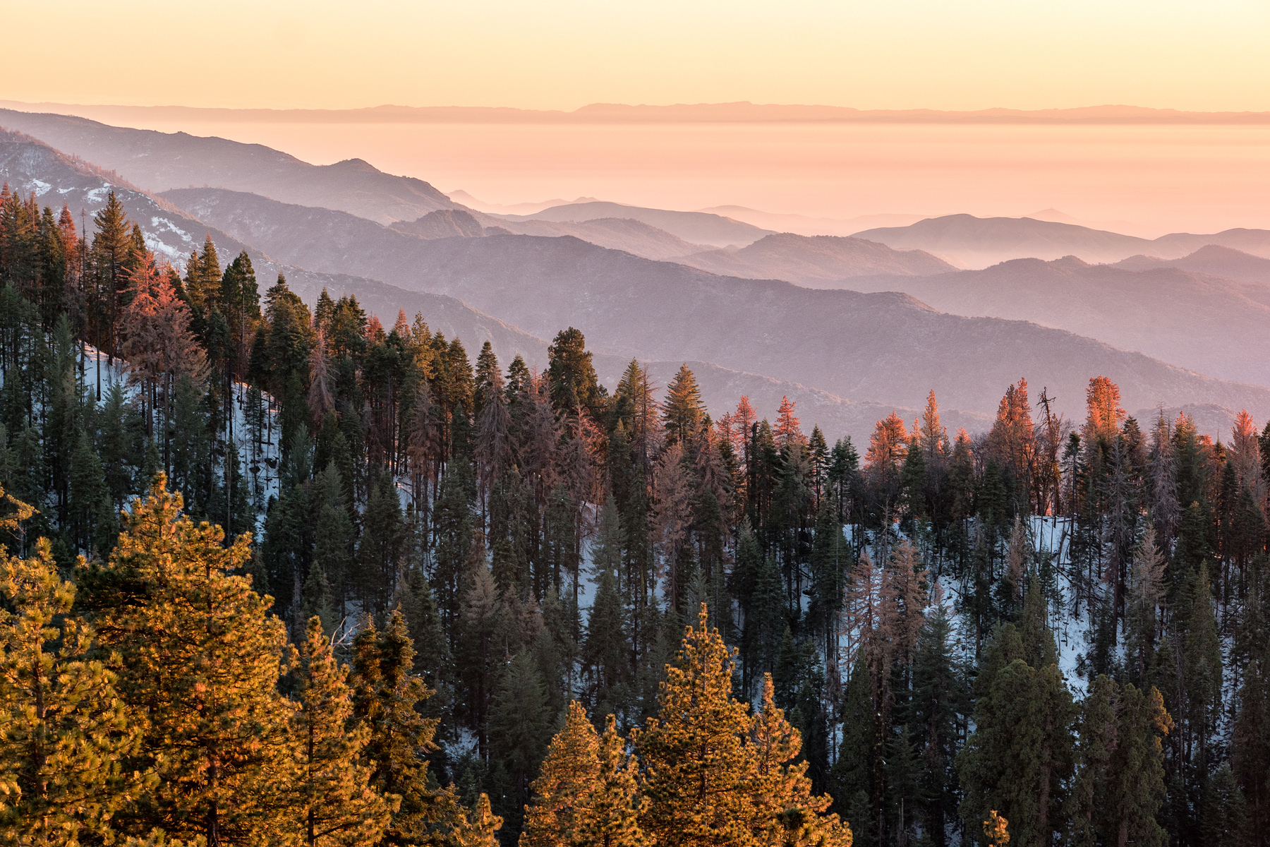 Wasim Muklashy Photography_Sequoia National Park_California_December 2015_-SAM_4172-Edit.jpg