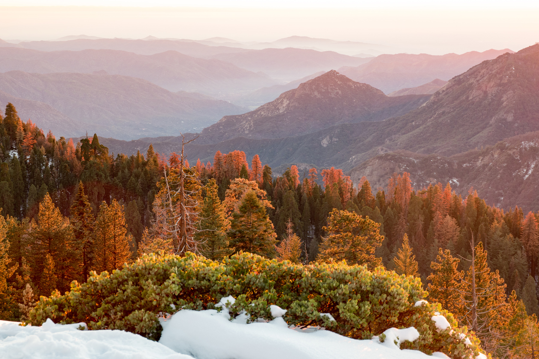Wasim Muklashy Photography_Sequoia National Park_California_December 2015_-SAM_4182.jpg