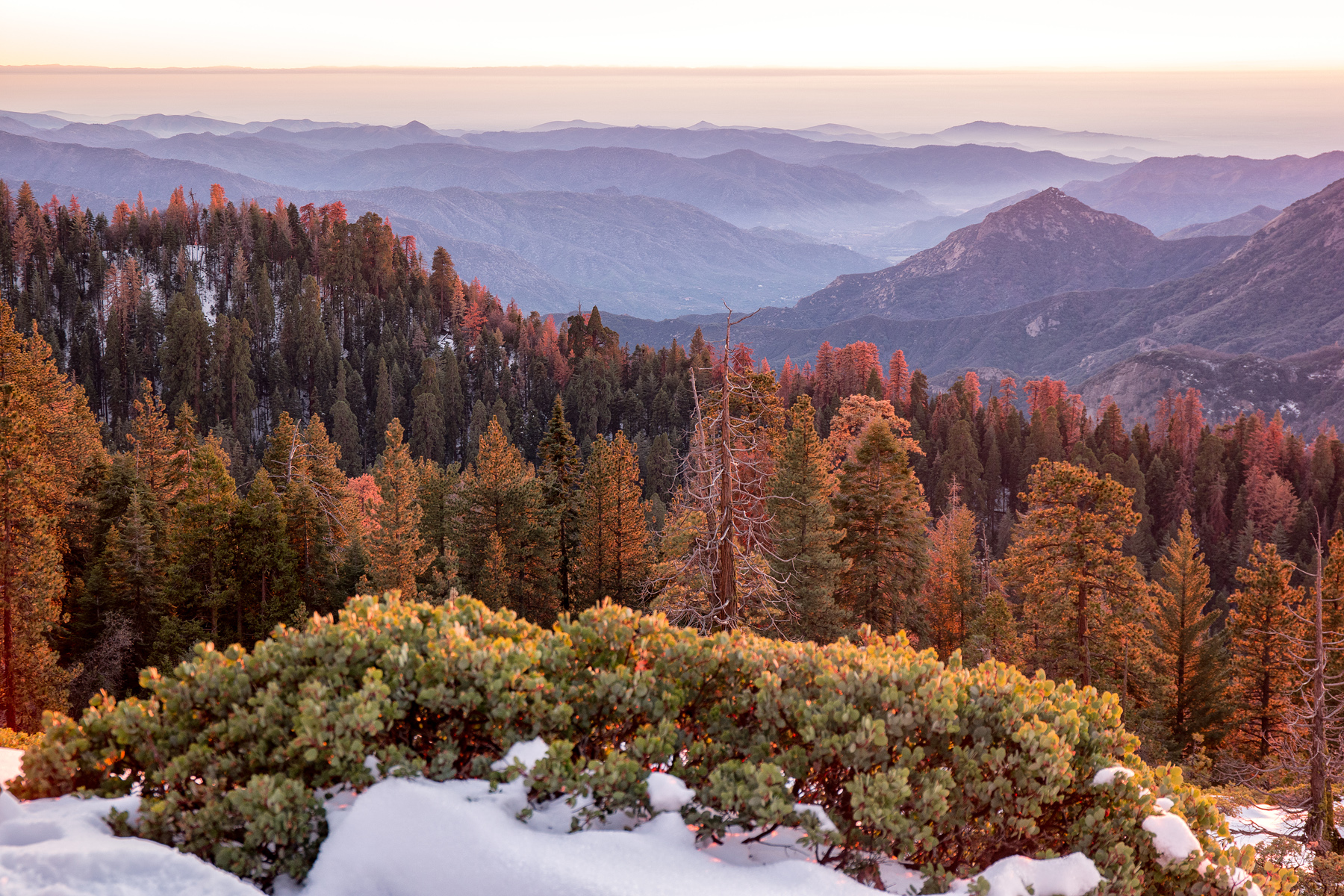 Wasim Muklashy Photography_Sequoia National Park_California_December 2015_-SAM_4189-Edit.jpg