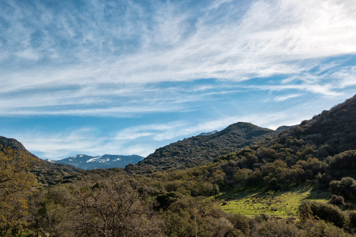 Wasim Muklashy Photography_Three Rivers Ranch_Around_05.jpg