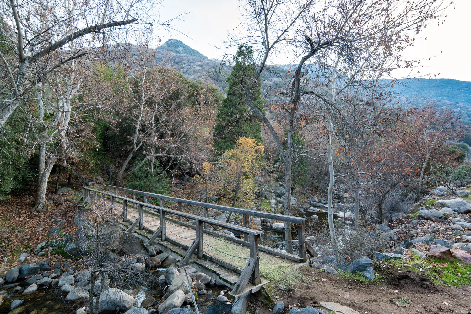 Wasim Muklashy Photography_Three Rivers Ranch_Around_14.jpg