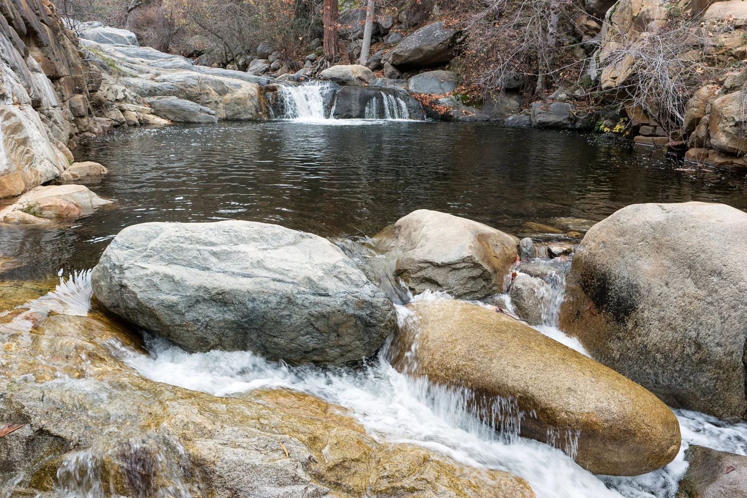 Wasim Muklashy Photography_Three Rivers Ranch_Around_29.jpg