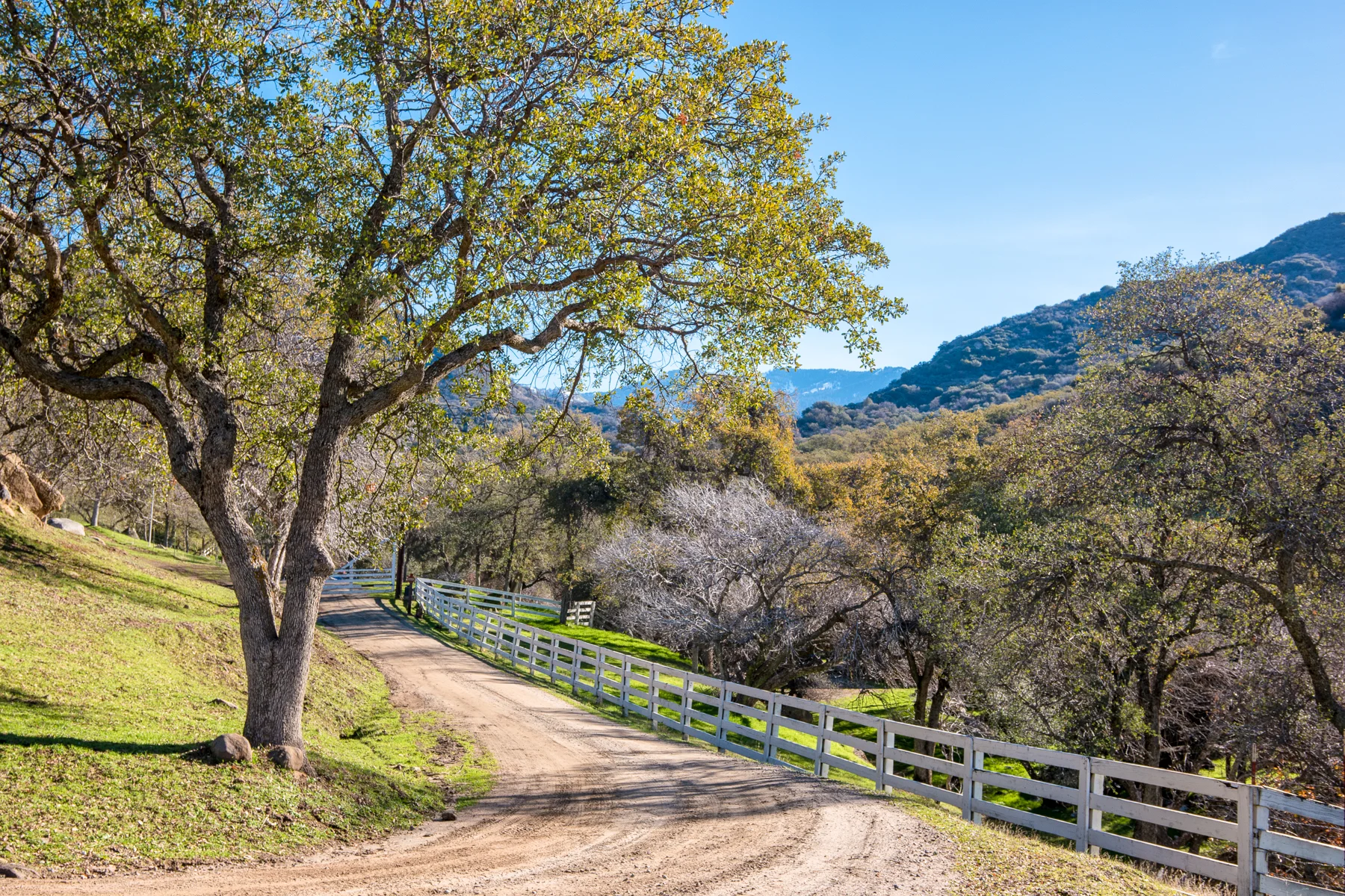 Wasim Muklashy Photography_Three Rivers Ranch_Around_30.jpg