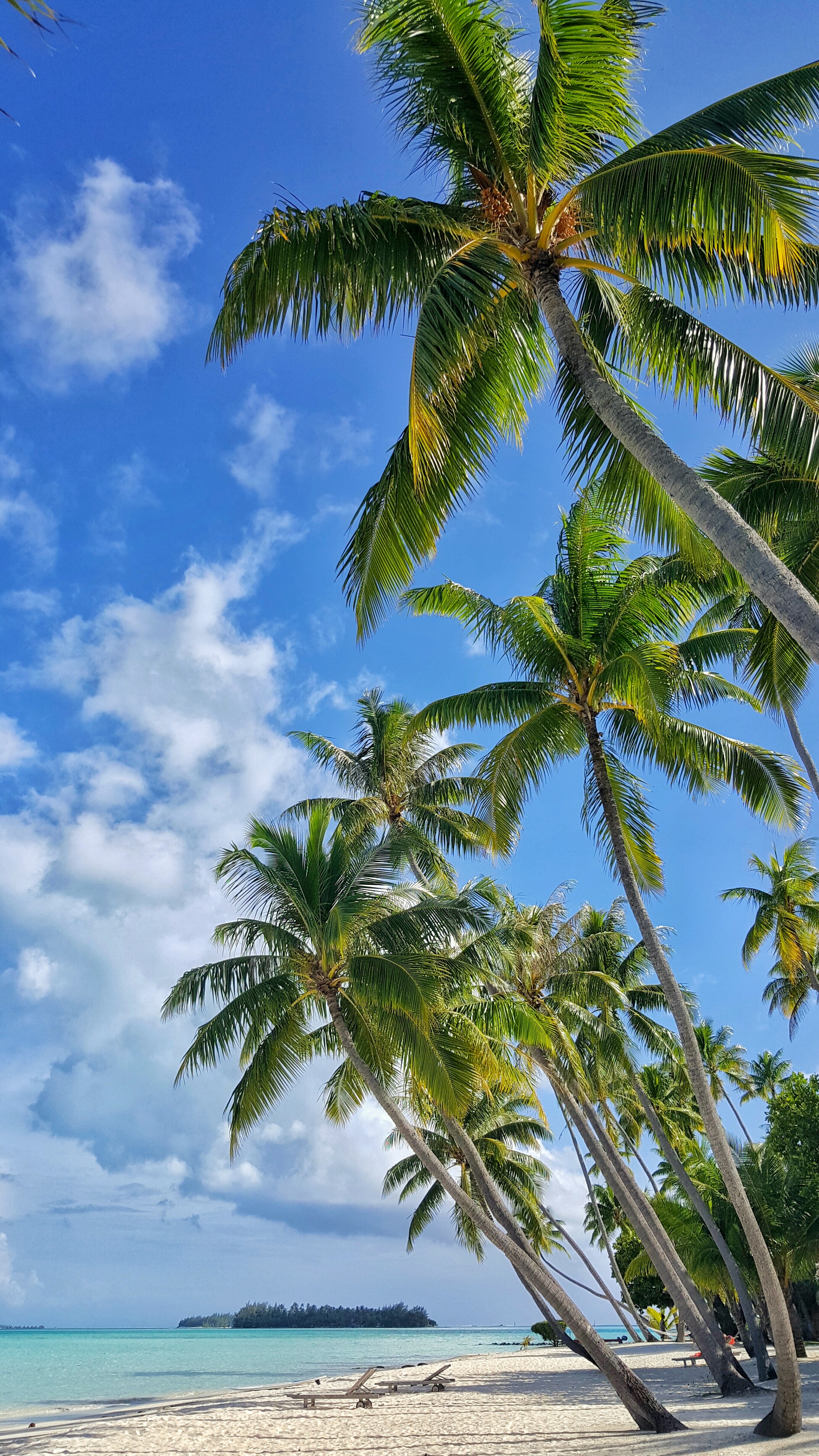 Wasim Muklashy Photography_Tahiti_French Polynesia_Bora Bora_Background 1.jpeg