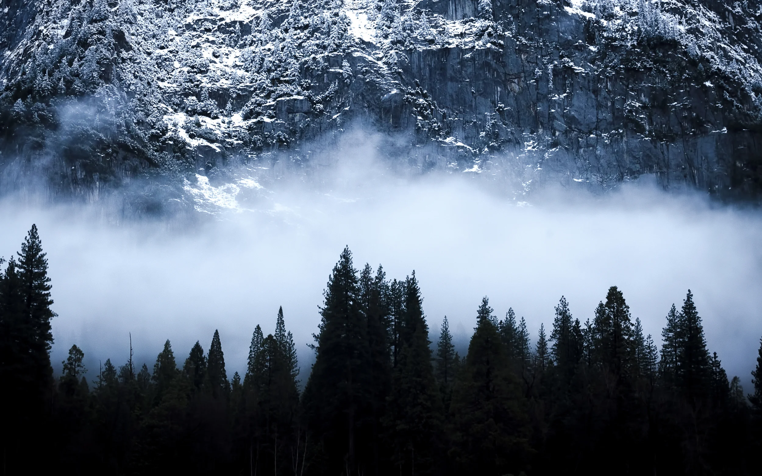 a slice of yosemite layer cake.