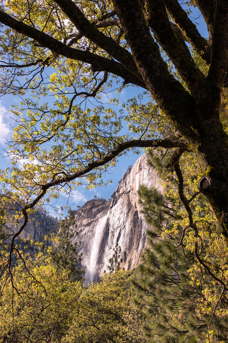 Wasim Muklashy Photography_Wasim of Nazareth_Happy Birthday National Park Service_NPS100_11.jpg