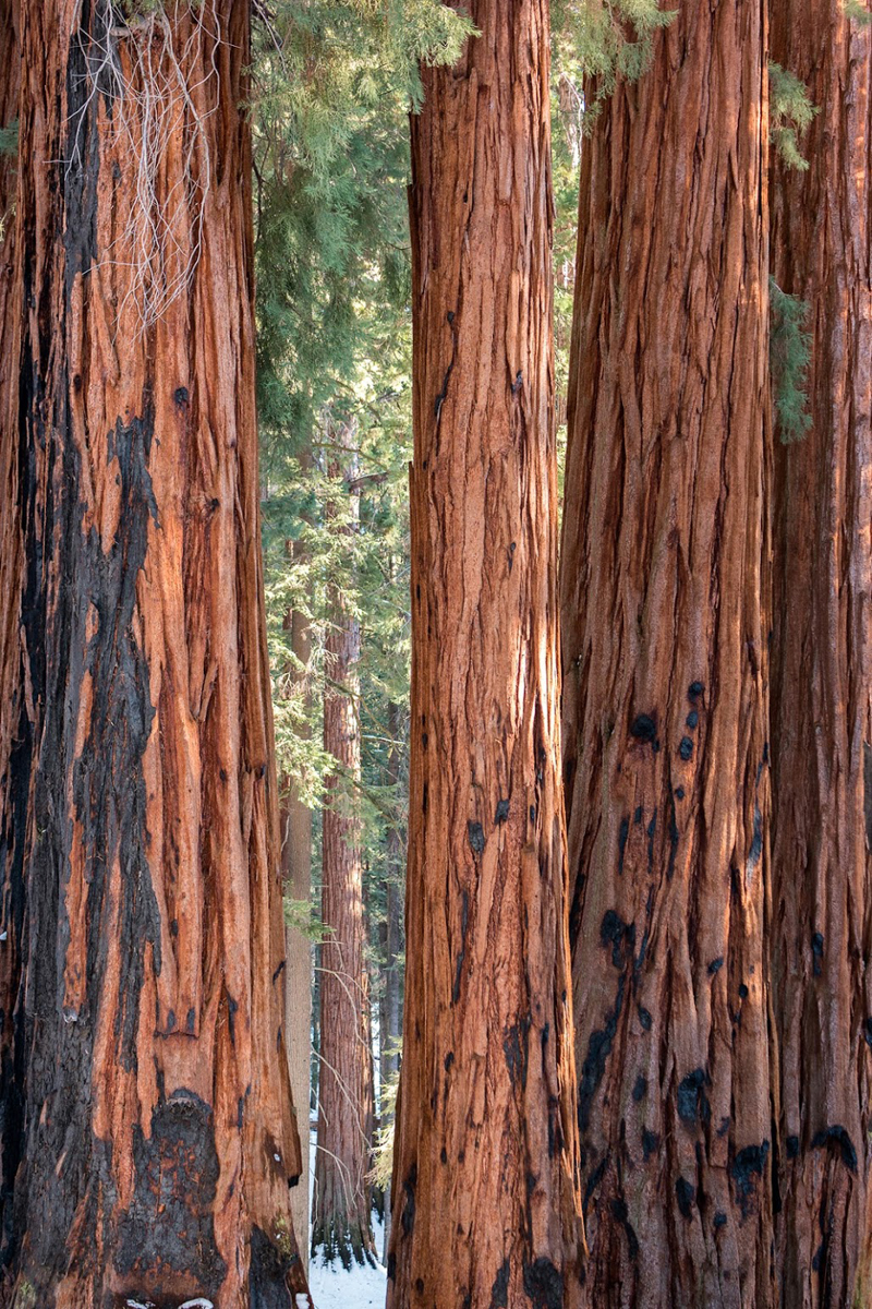 Wasim Muklashy Photography_Wasim of Nazareth_Happy Birthday National Park Service_NPS100_19.jpg