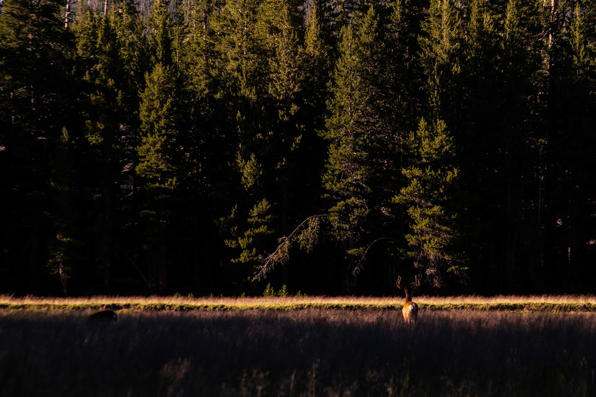 Wasim Muklashy Photography_Wasim of Nazareth_Happy Birthday National Park Service_NPS100_31.jpg