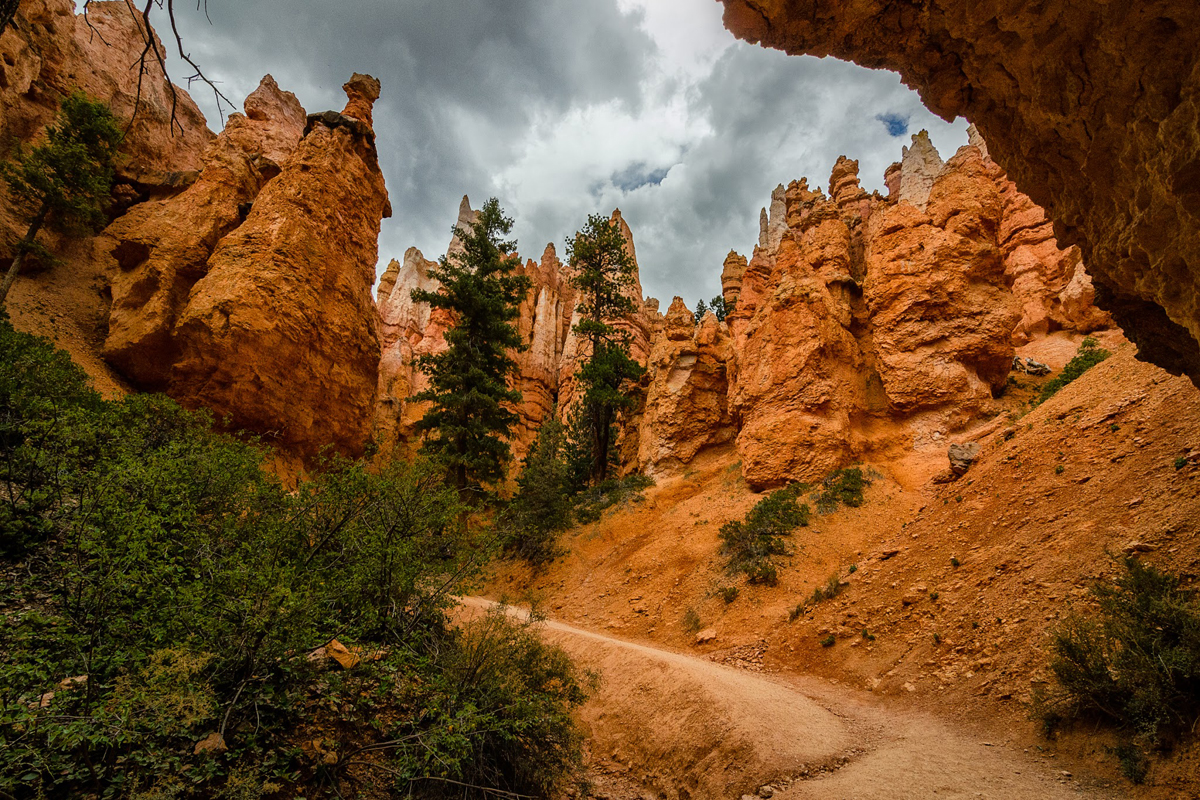 Wasim Muklashy Photography_Wasim of Nazareth_Happy Birthday National Park Service_NPS100_30.jpg