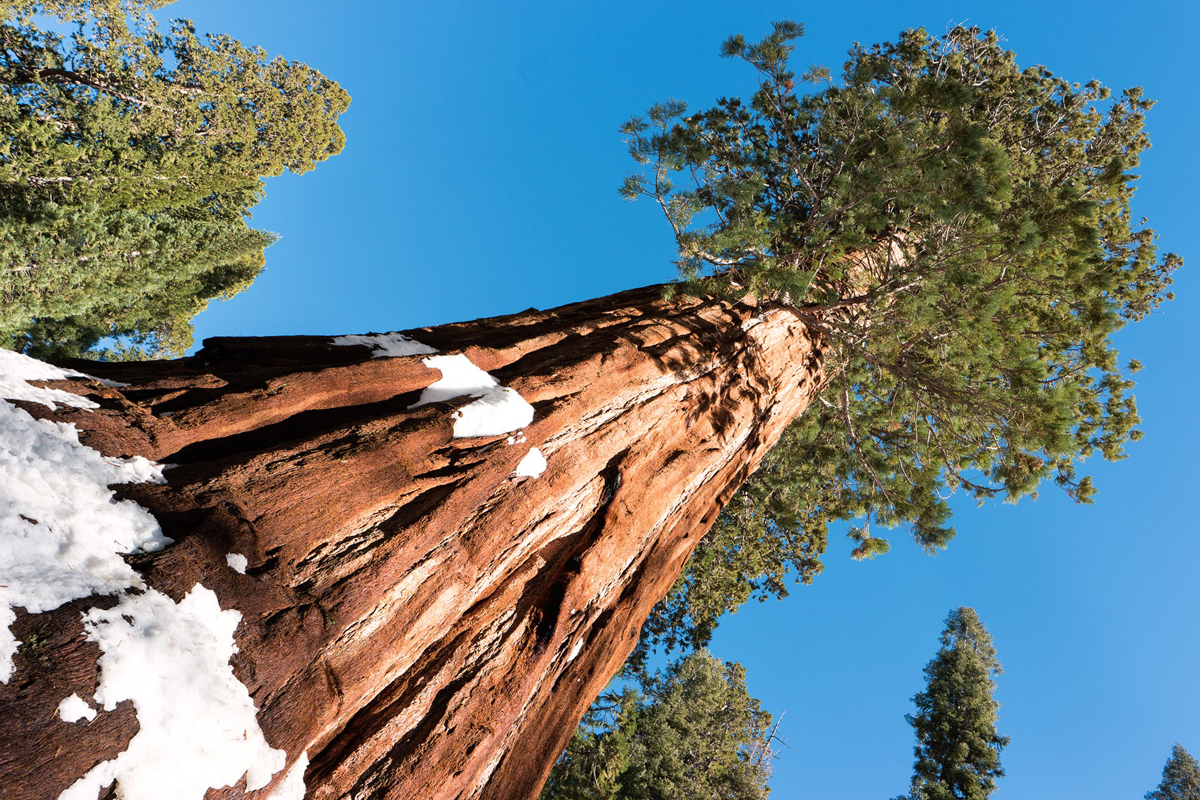 Wasim Muklashy Photography_Wasim of Nazareth_Happy Birthday National Park Service_NPS100_33.jpg