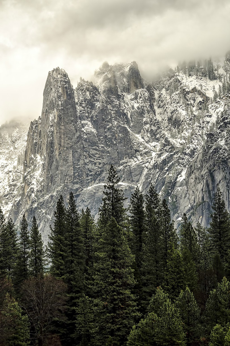 Wasim Muklashy Photography_Wasim of Nazareth_Happy Birthday National Park Service_NPS100_34.jpg